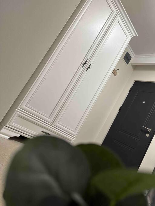 Apartament Z Timisoara Apartment Bagian luar foto